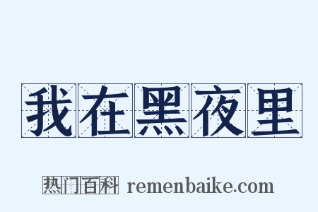 我在黑夜里是什么意思的图片